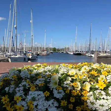 Ferienhaus Enkhuizer Wolkesieben Dritte Reihe Mit Zaun Hausnr 202